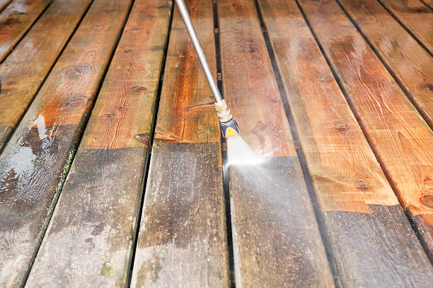 Best Roof Cleaning and Mildew Removal in Richmond, KY